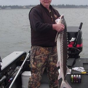 Meet your Posher, Tim